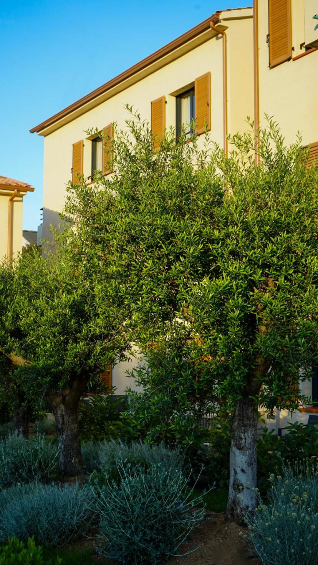 סן פלורן Residence Catalina מראה חיצוני תמונה