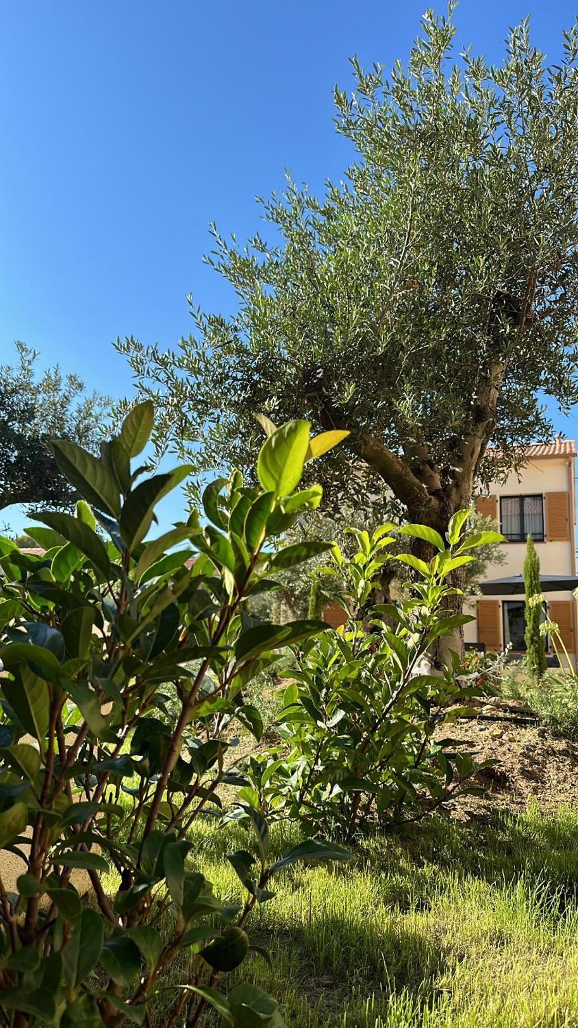סן פלורן Residence Catalina מראה חיצוני תמונה